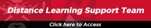 Distance Learning Support Team